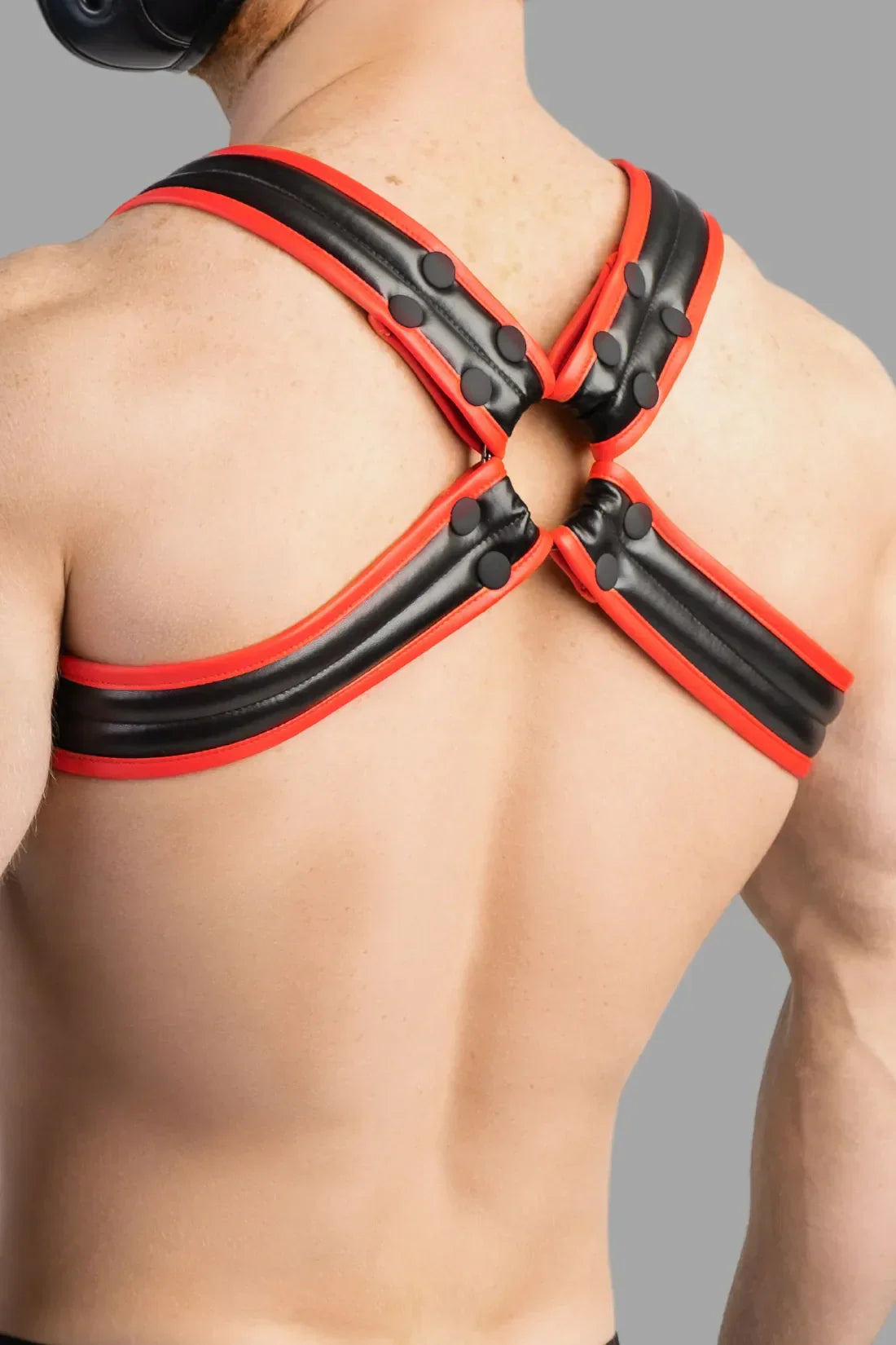 Armored Next. Men's Bulldog Harness. Red and Black