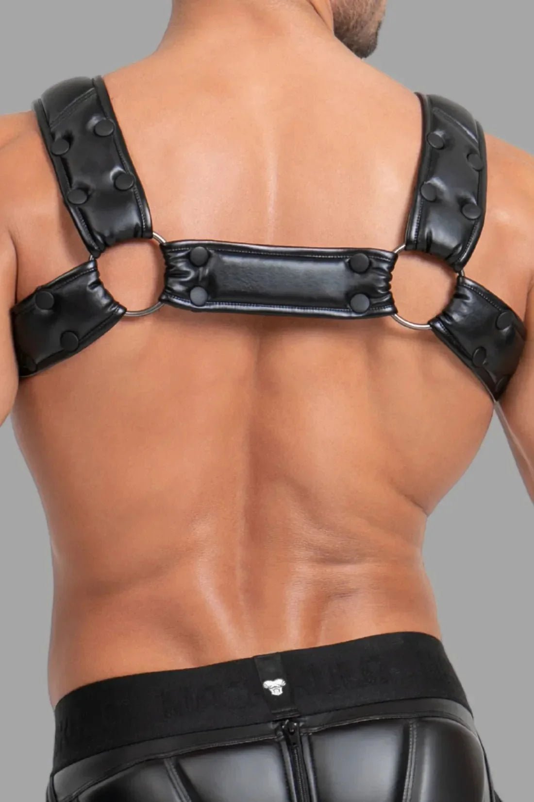 Bulldog Harness with 3D Logo. Black - MHR118 - Y5 - Maskulo US NY FL